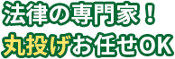 法律の専門家！丸投げOK